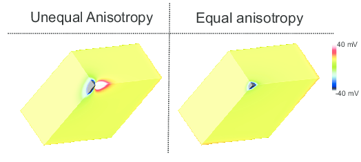 ../../_images/tuneCV-anisotropy-vep.png
